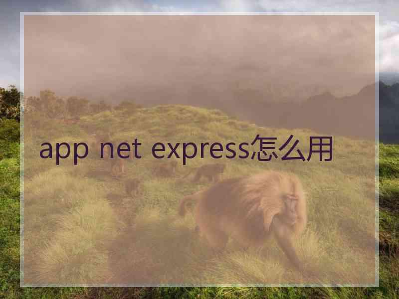 app net express怎么用