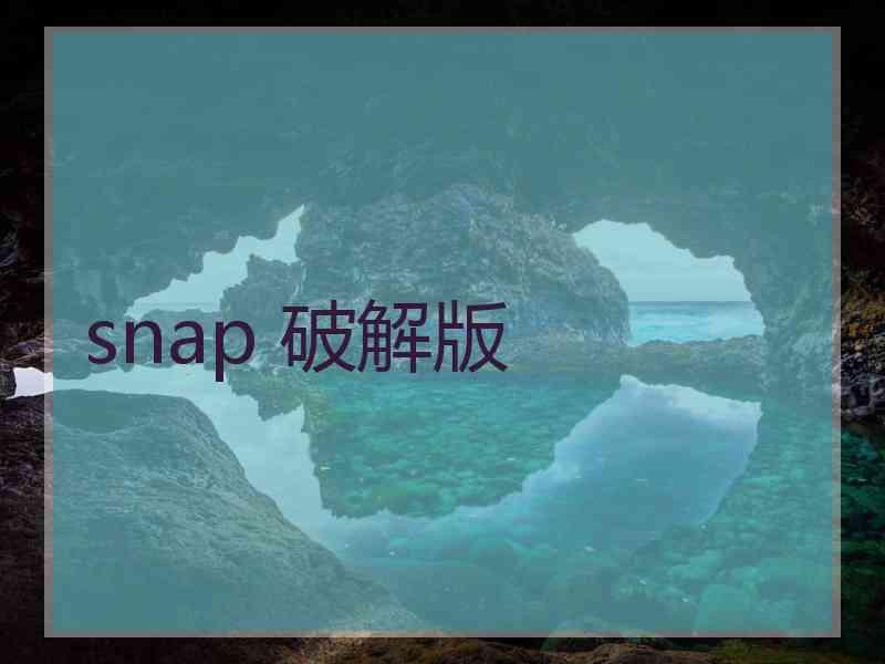 snap 破解版