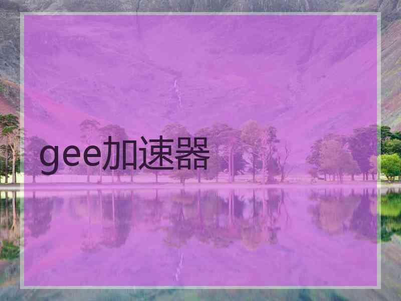 gee加速器