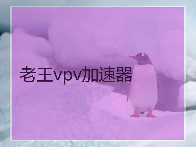 老王vpv加速器