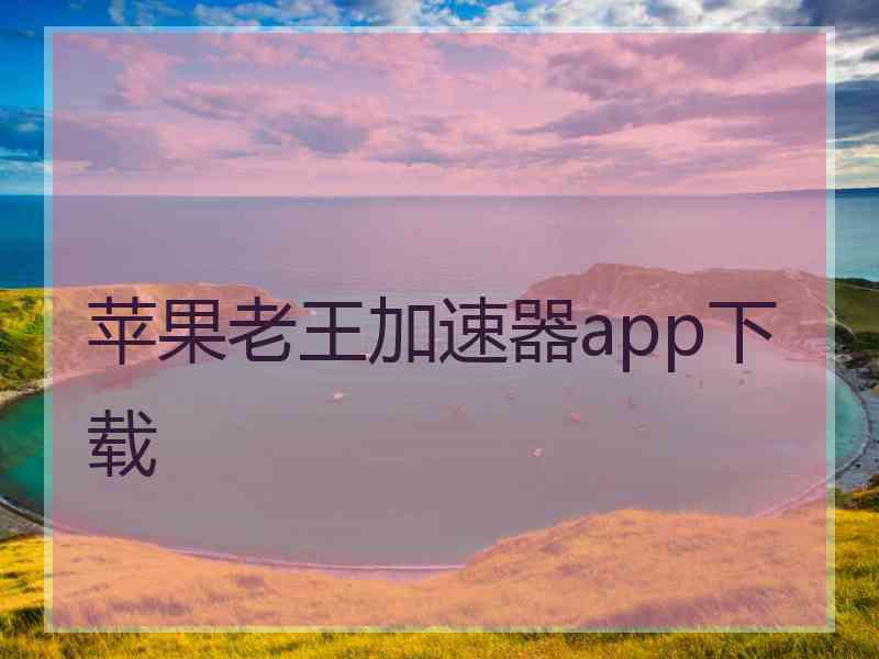 苹果老王加速器app下载