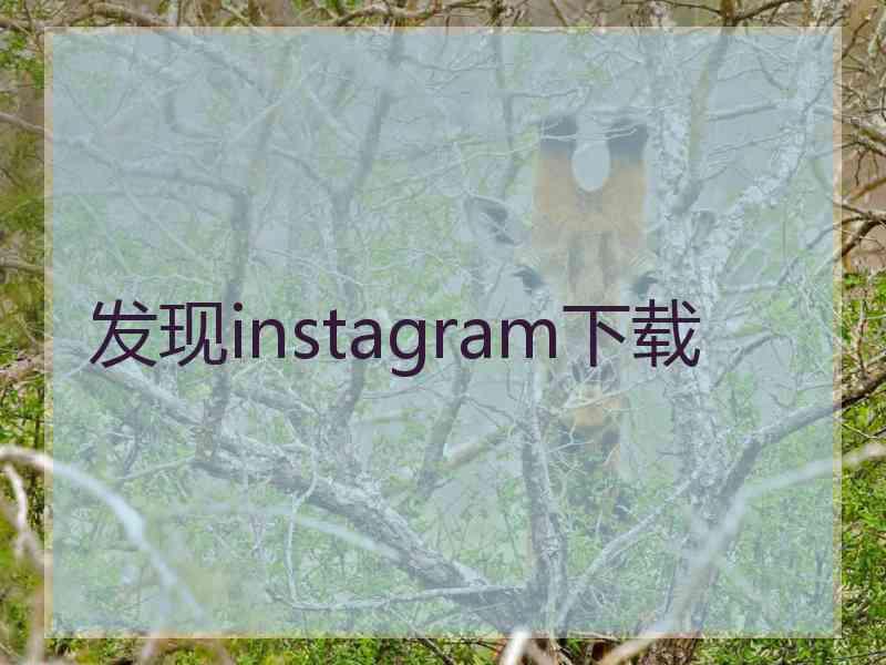 发现instagram下载