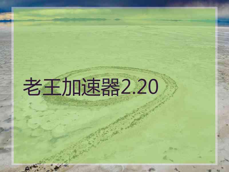 老王加速器2.20