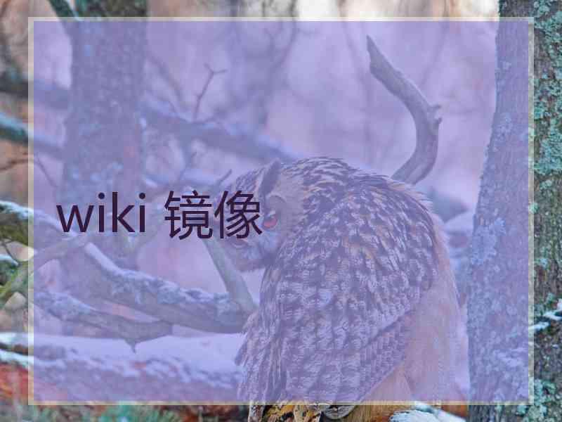 wiki 镜像