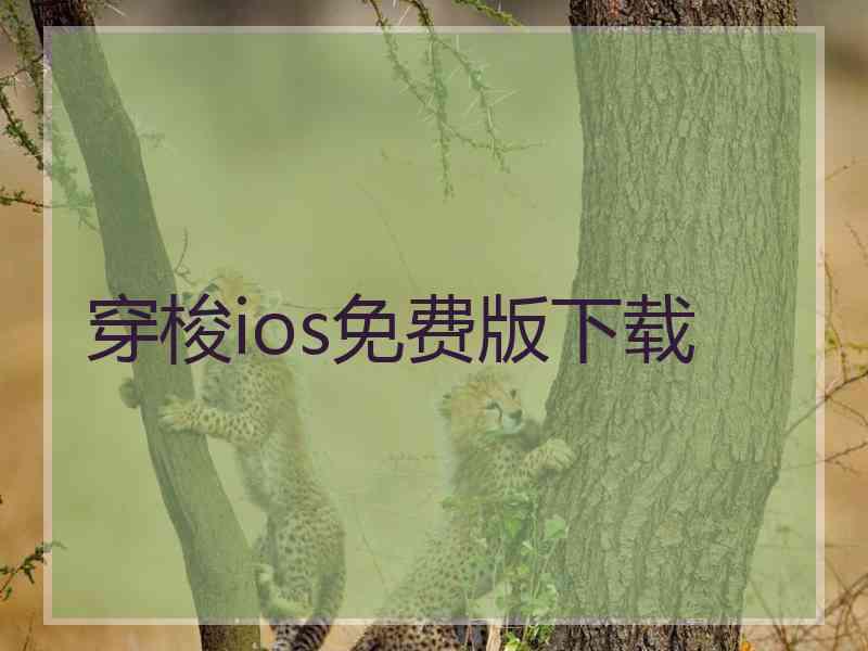 穿梭ios免费版下载