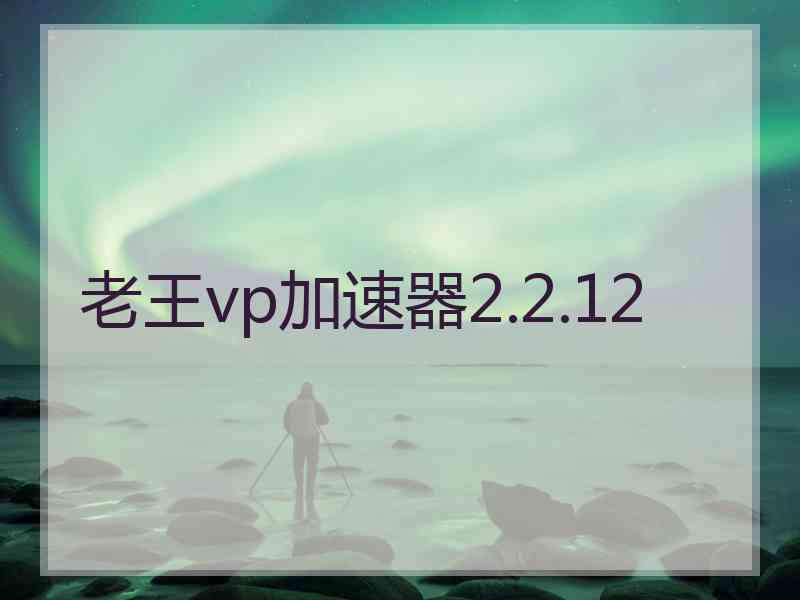 老王vp加速器2.2.12