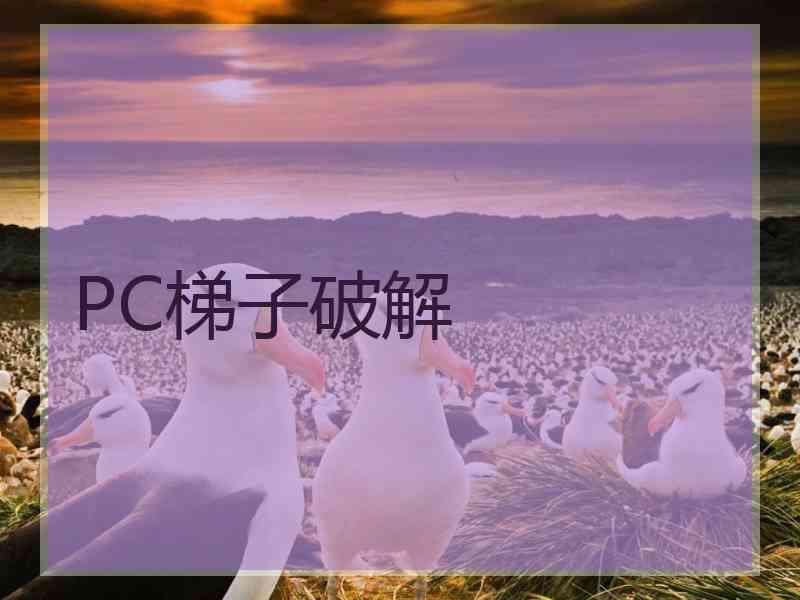 PC梯子破解