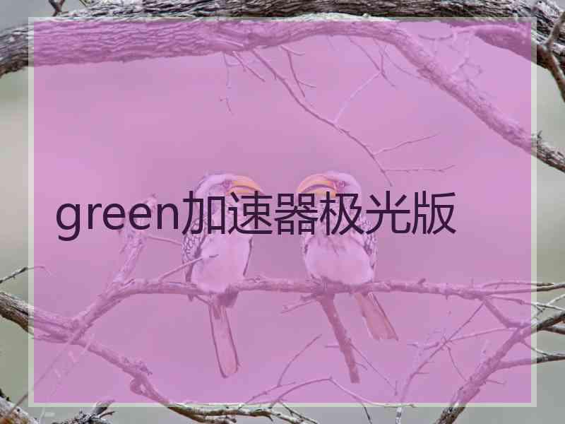 green加速器极光版