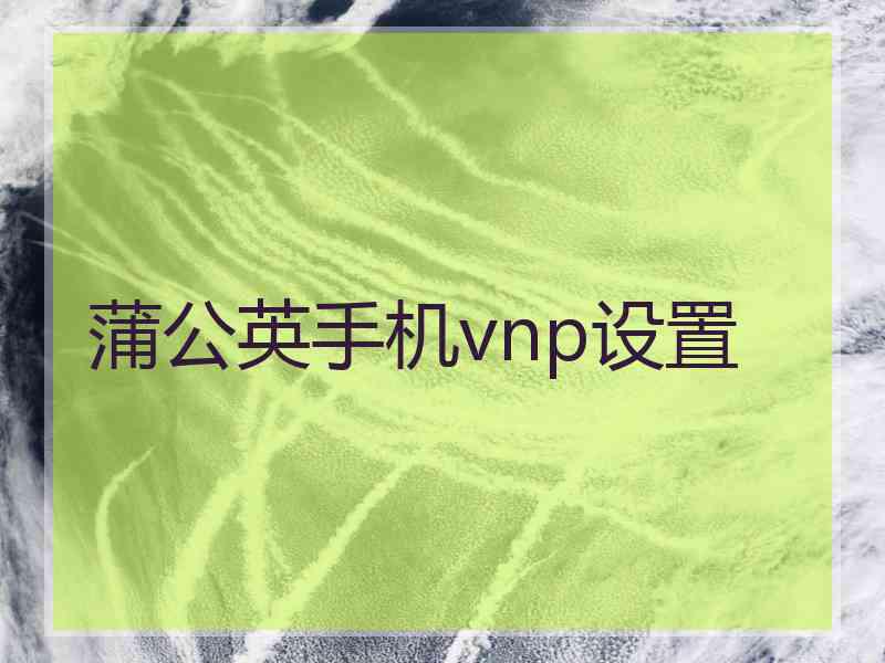 蒲公英手机vnp设置