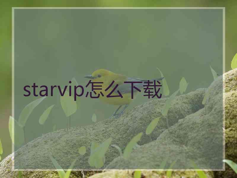 starvip怎么下载