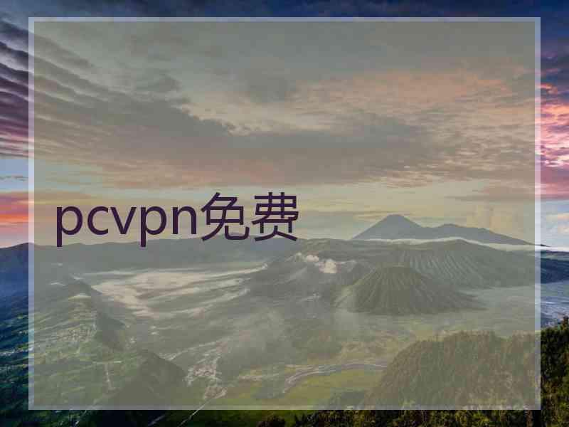 pcvpn免费