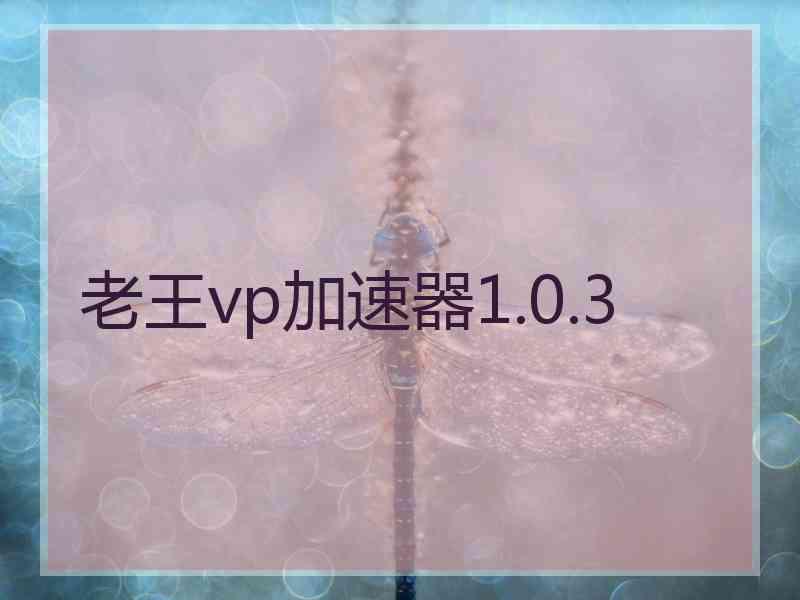 老王vp加速器1.0.3