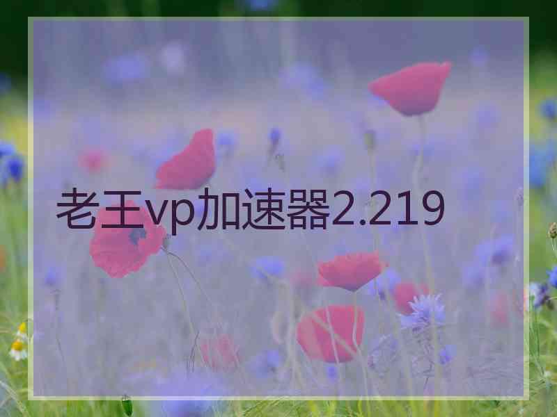 老王vp加速器2.219