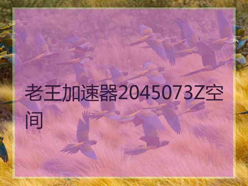 老王加速器2045073Z空间