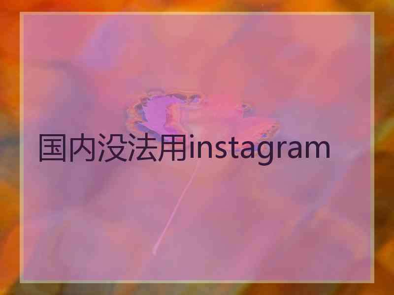 国内没法用instagram