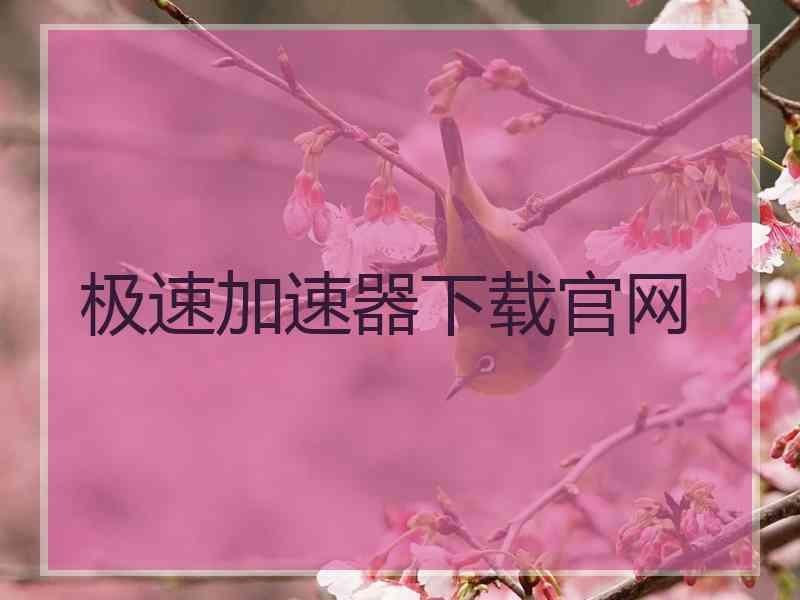 极速加速器下载官网