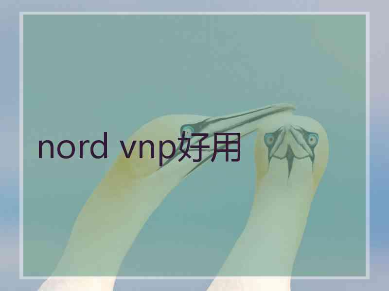 nord vnp好用