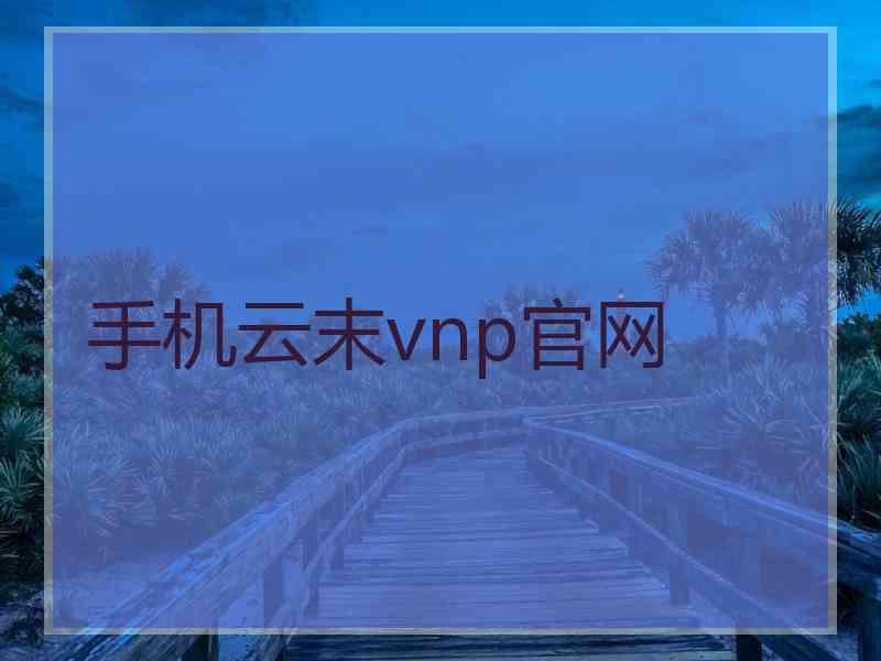 手机云末vnp官网