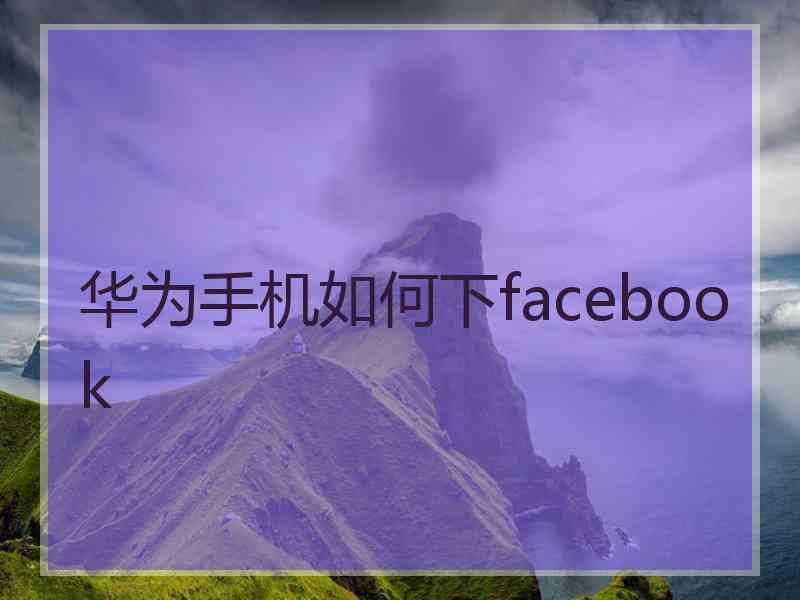 华为手机如何下facebook