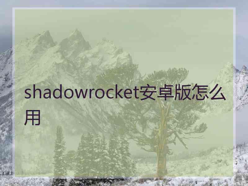 shadowrocket安卓版怎么用