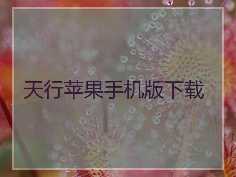 天行苹果手机版下载