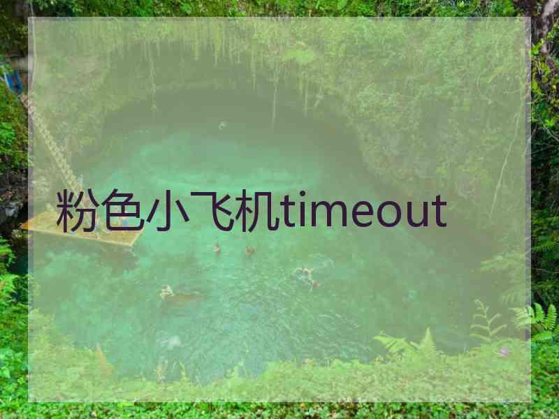 粉色小飞机timeout