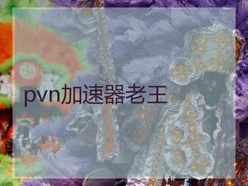 pvn加速器老王