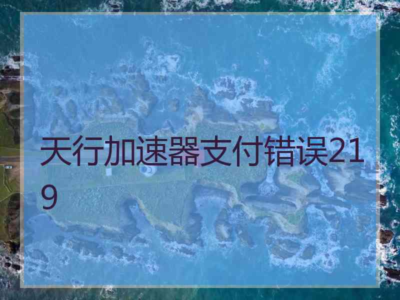 天行加速器支付错误219