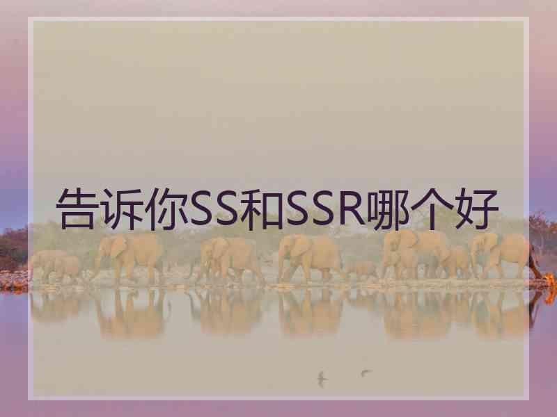 告诉你SS和SSR哪个好