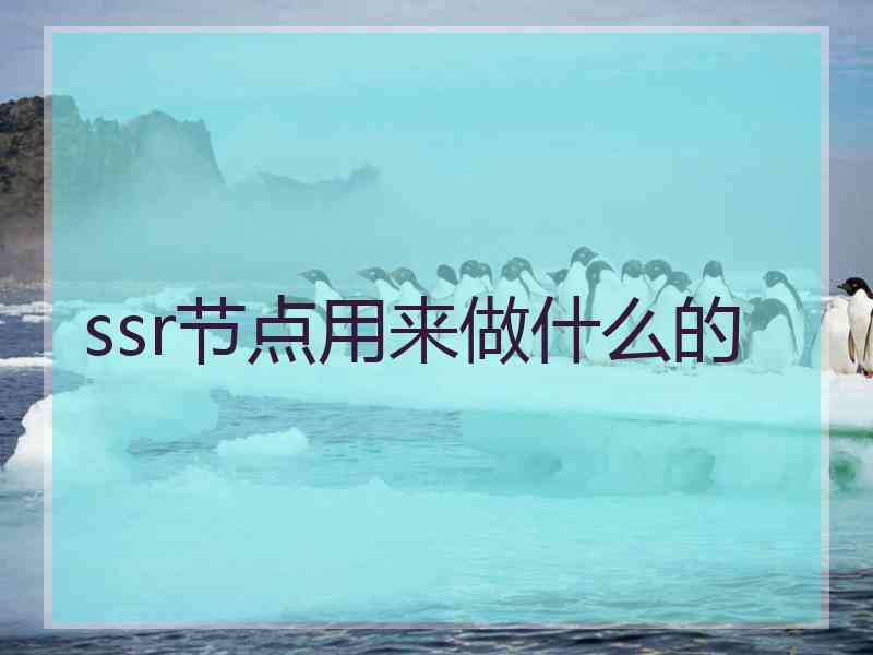 ssr节点用来做什么的