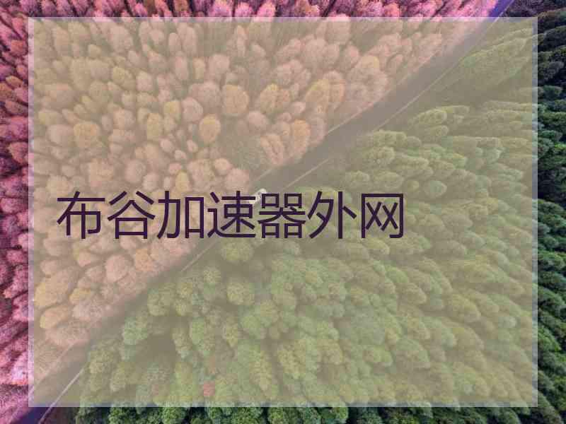 布谷加速器外网