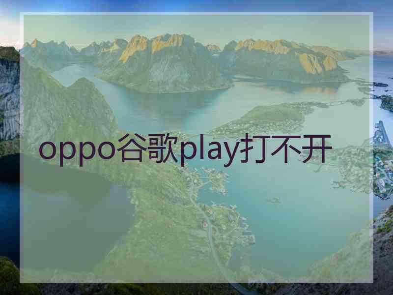 oppo谷歌play打不开