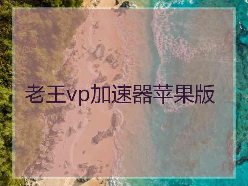 老王vp加速器苹果版