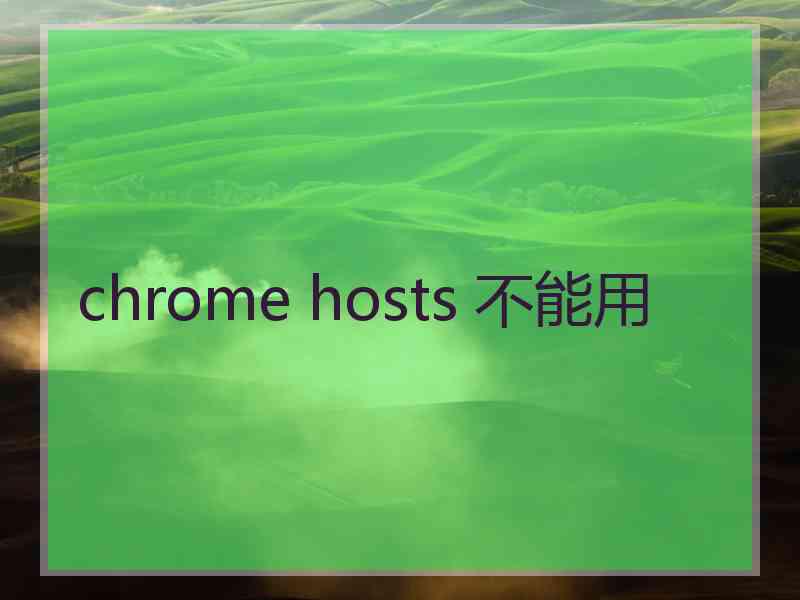 chrome hosts 不能用