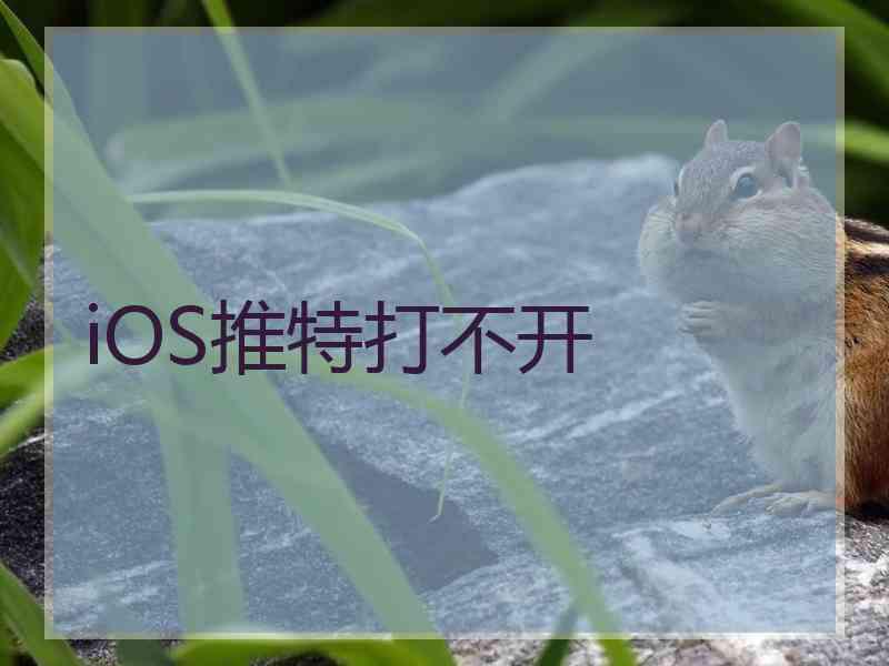 iOS推特打不开