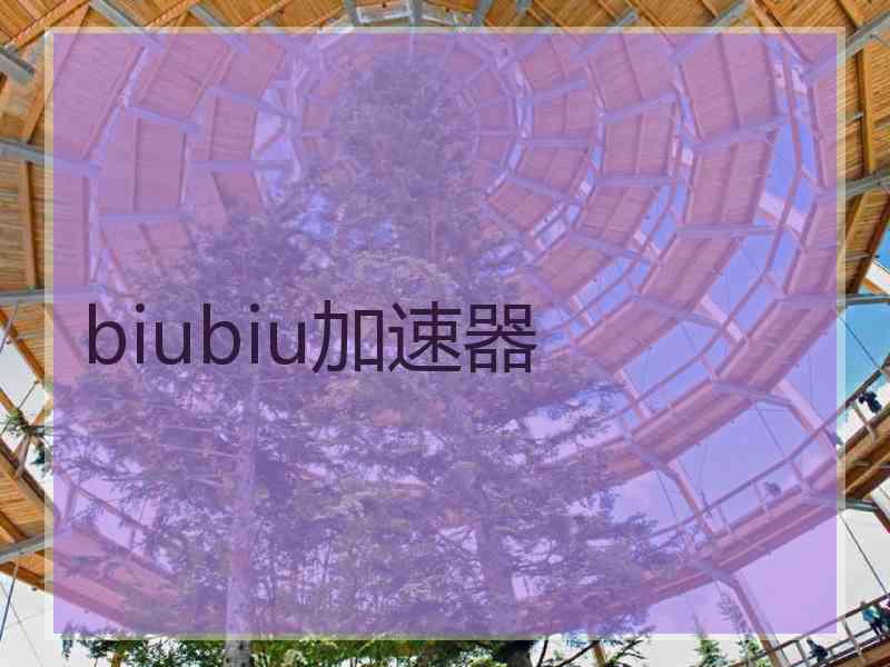 biubiu加速器