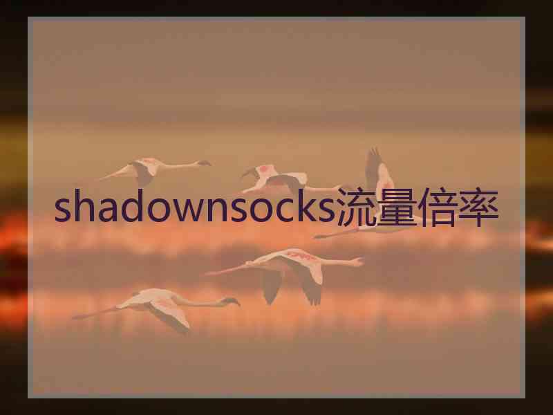 shadownsocks流量倍率