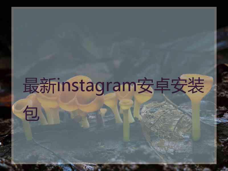 最新instagram安卓安装包