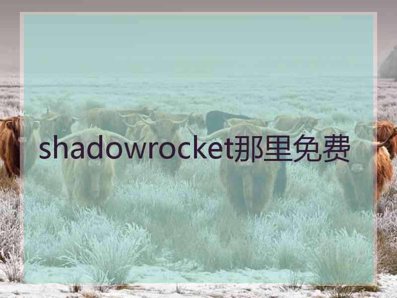 shadowrocket那里免费