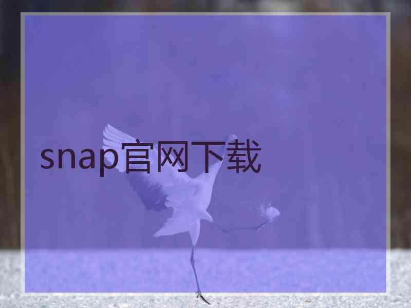 snap官网下载