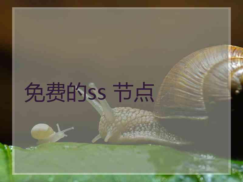 免费的ss 节点