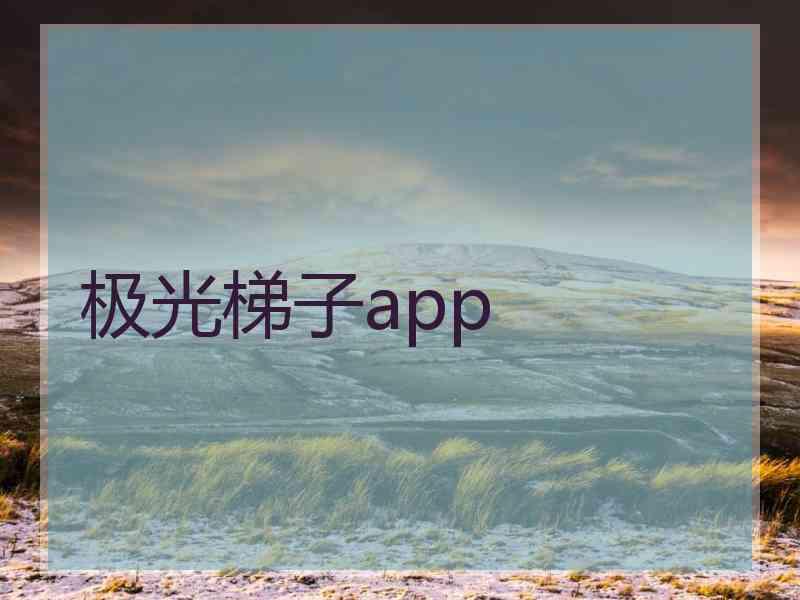 极光梯子app