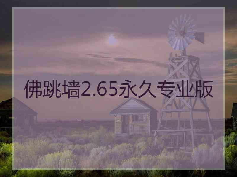 佛跳墙2.65永久专业版