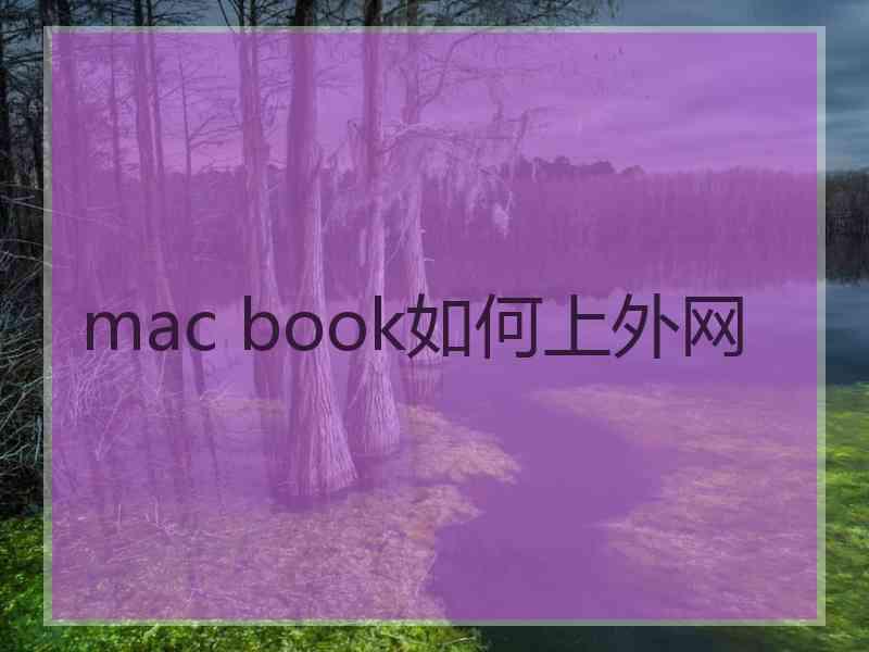 mac book如何上外网