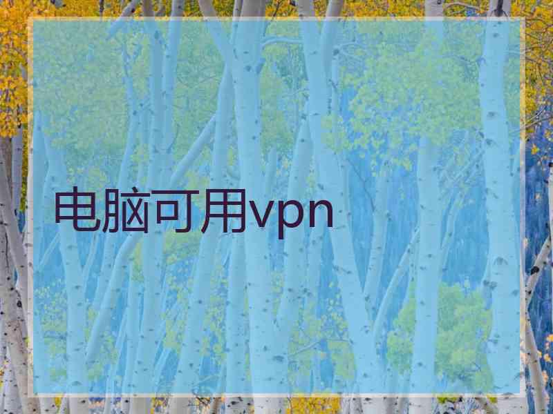 电脑可用vpn