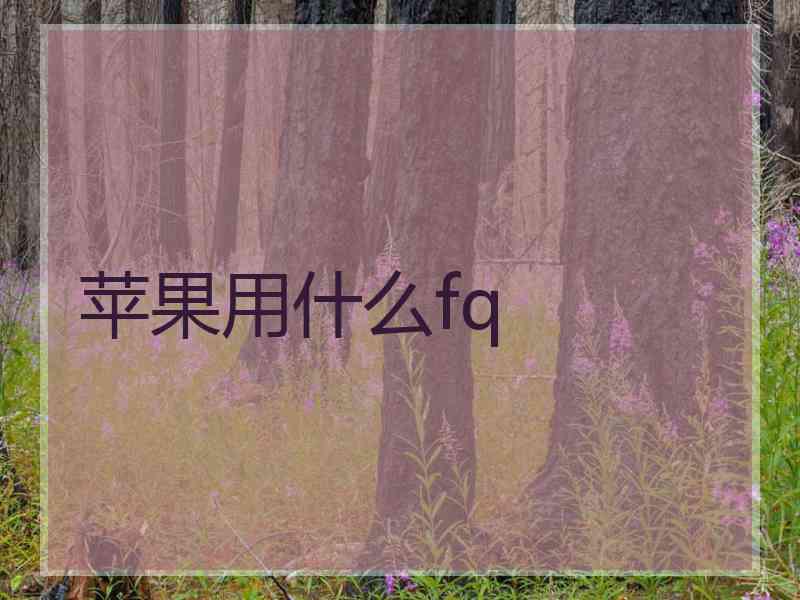 苹果用什么fq