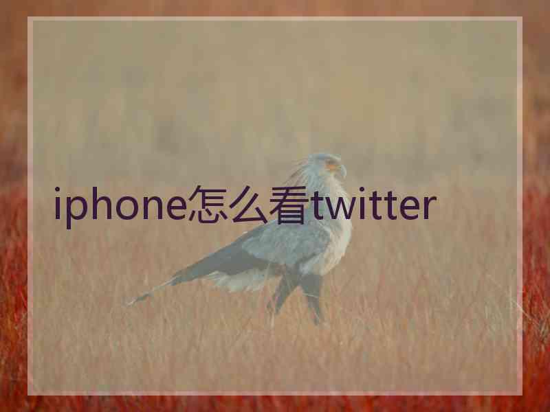 iphone怎么看twitter