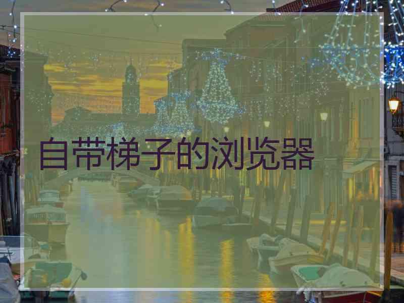 自带梯子的浏览器