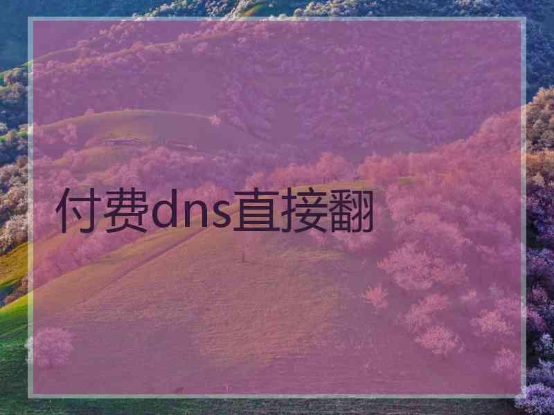 付费dns直接翻