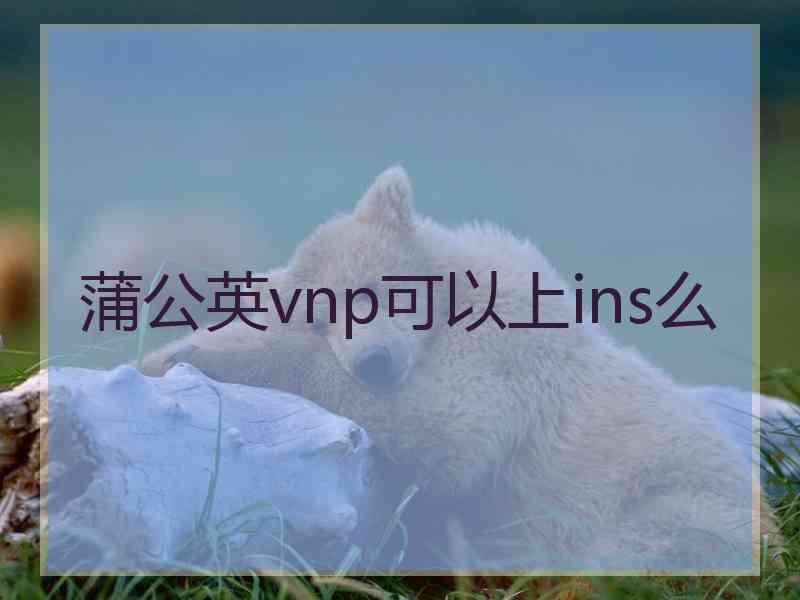 蒲公英vnp可以上ins么